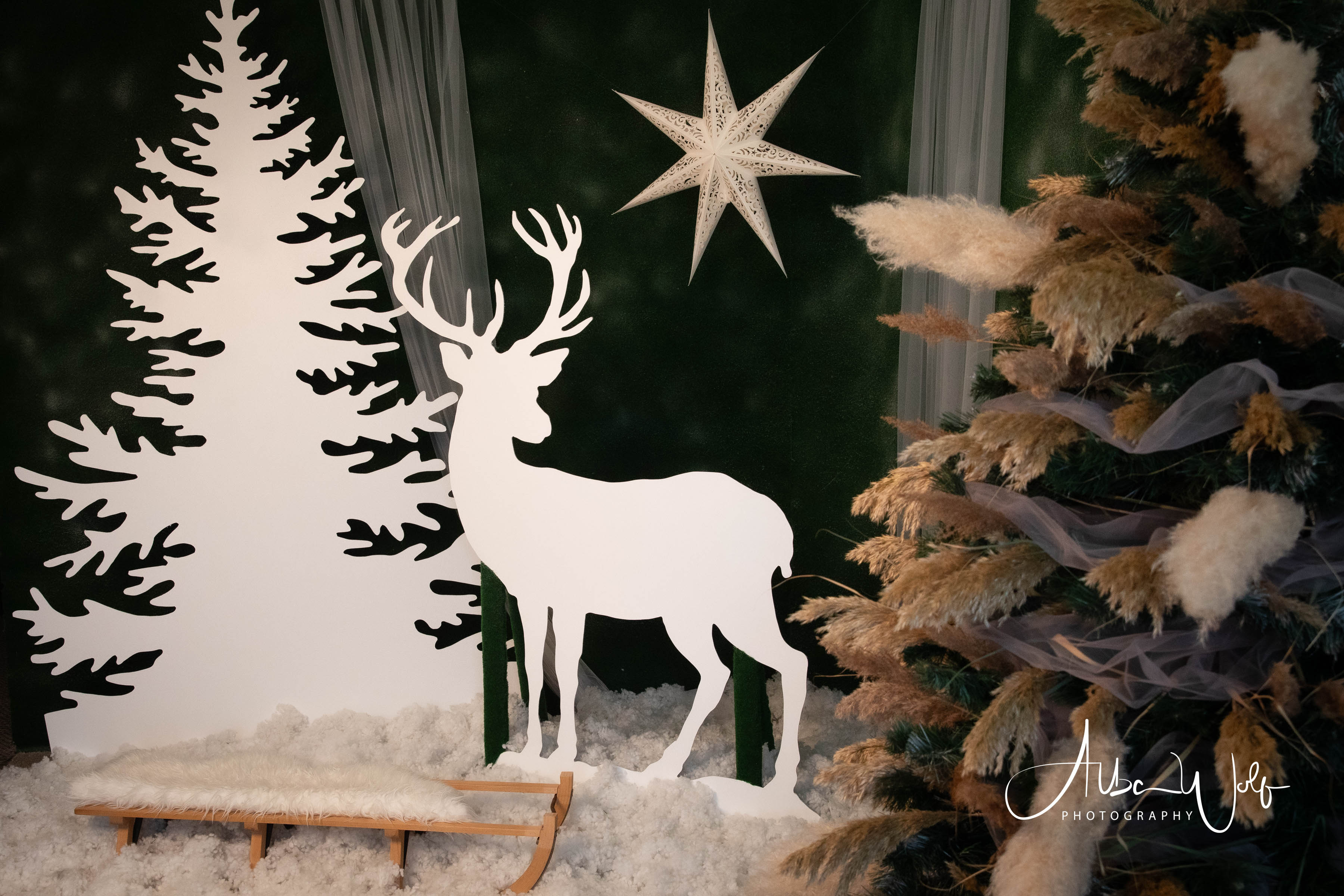 Karácsony 2025 - HAVAS