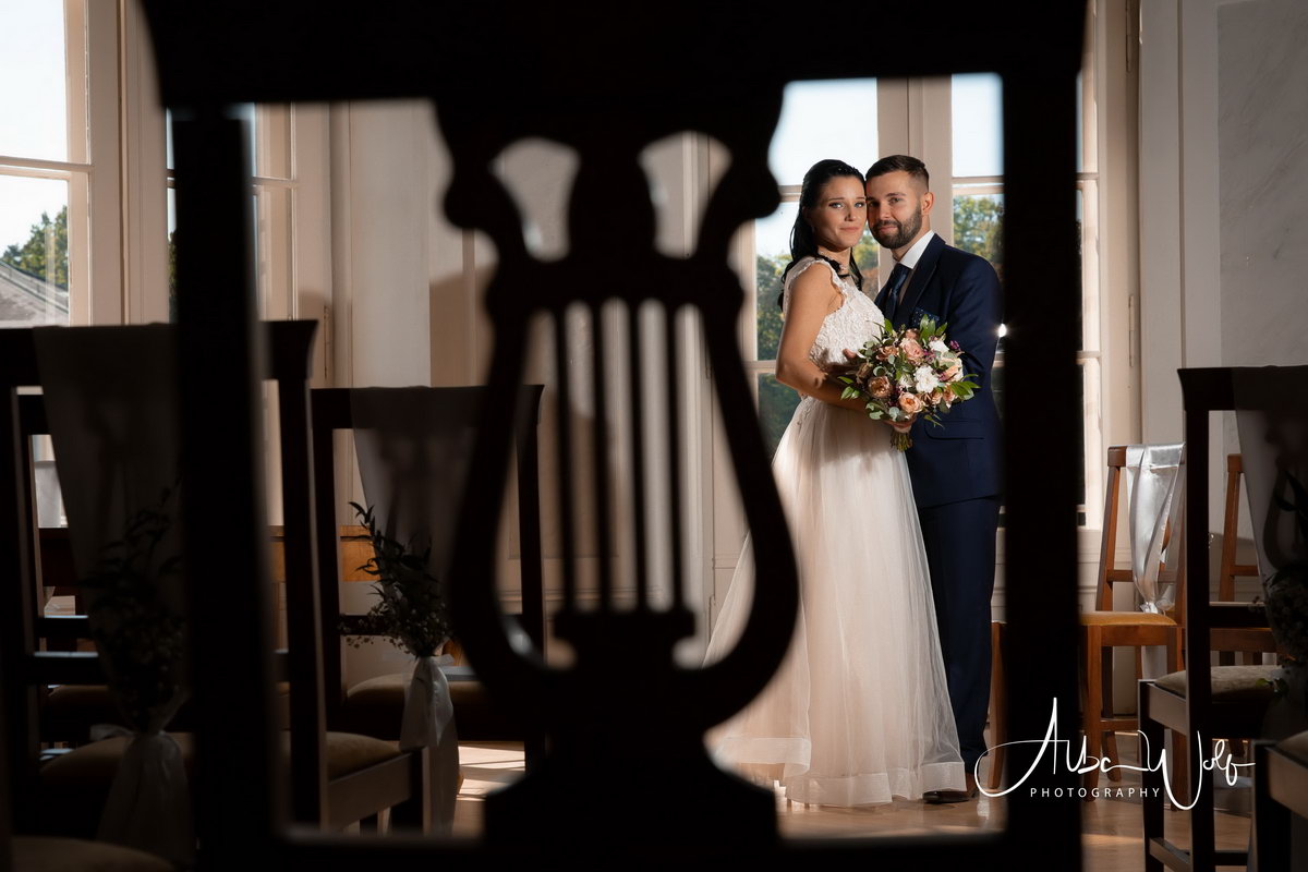 Alba Wolf Fotóstúdió Székesfehérvár galéria