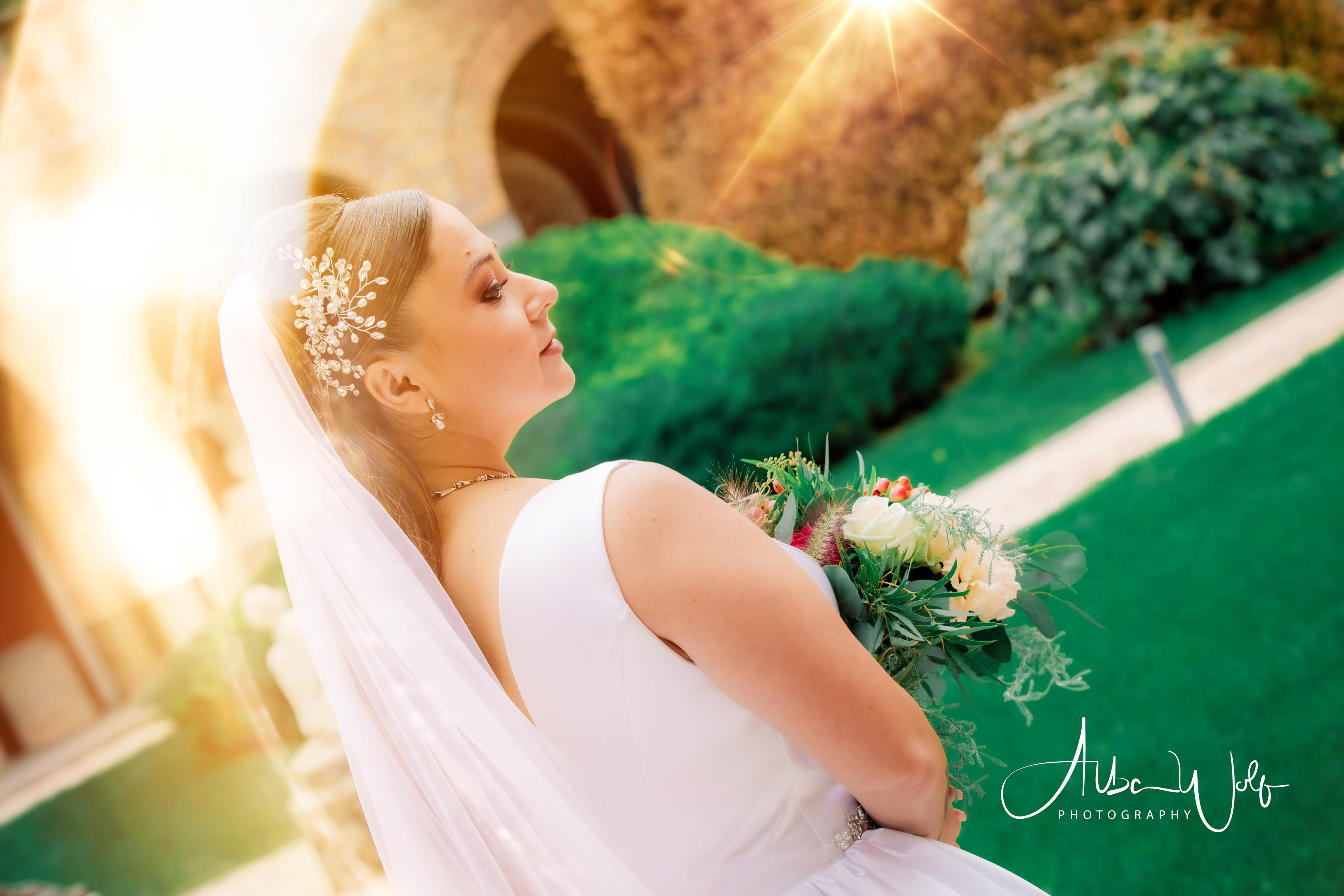 Alba Wolf Fotóstúdió Székesfehérvár galéria