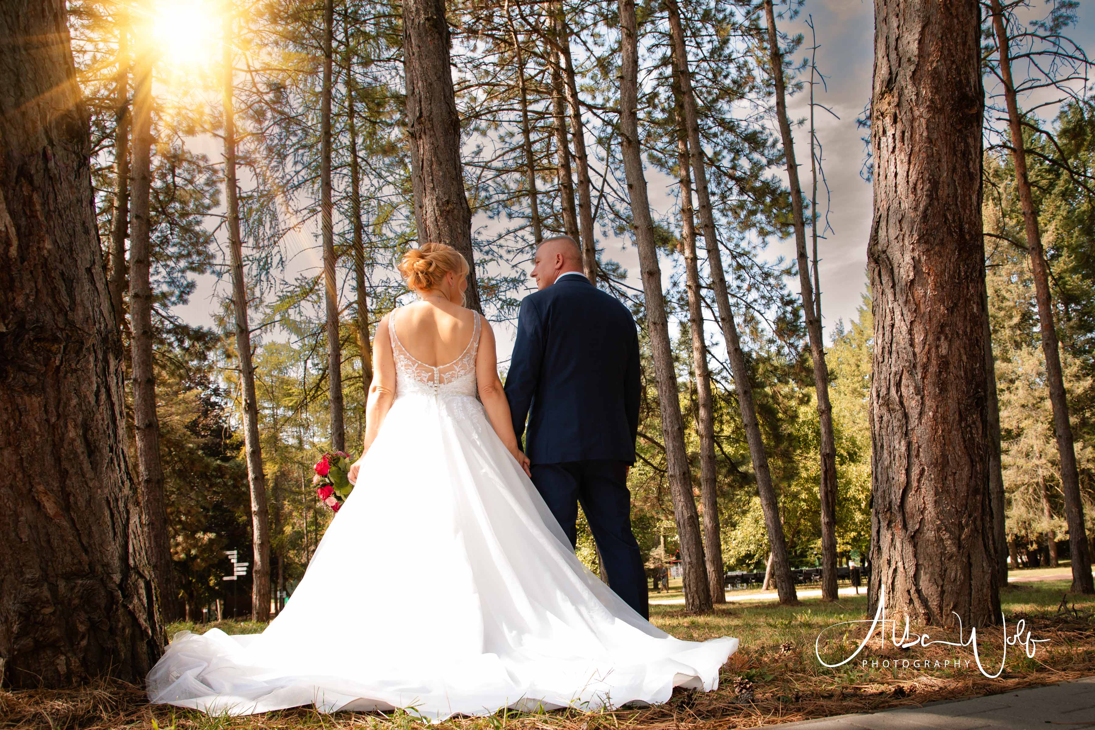 Alba Wolf Fotóstúdió Székesfehérvár galéria