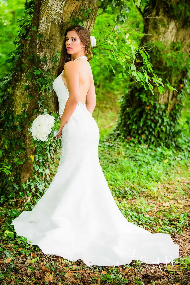 Alba Wolf Fotóstúdió Székesfehérvár galéria