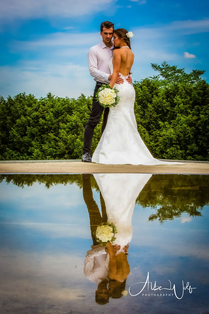 Alba Wolf Fotóstúdió Székesfehérvár galéria