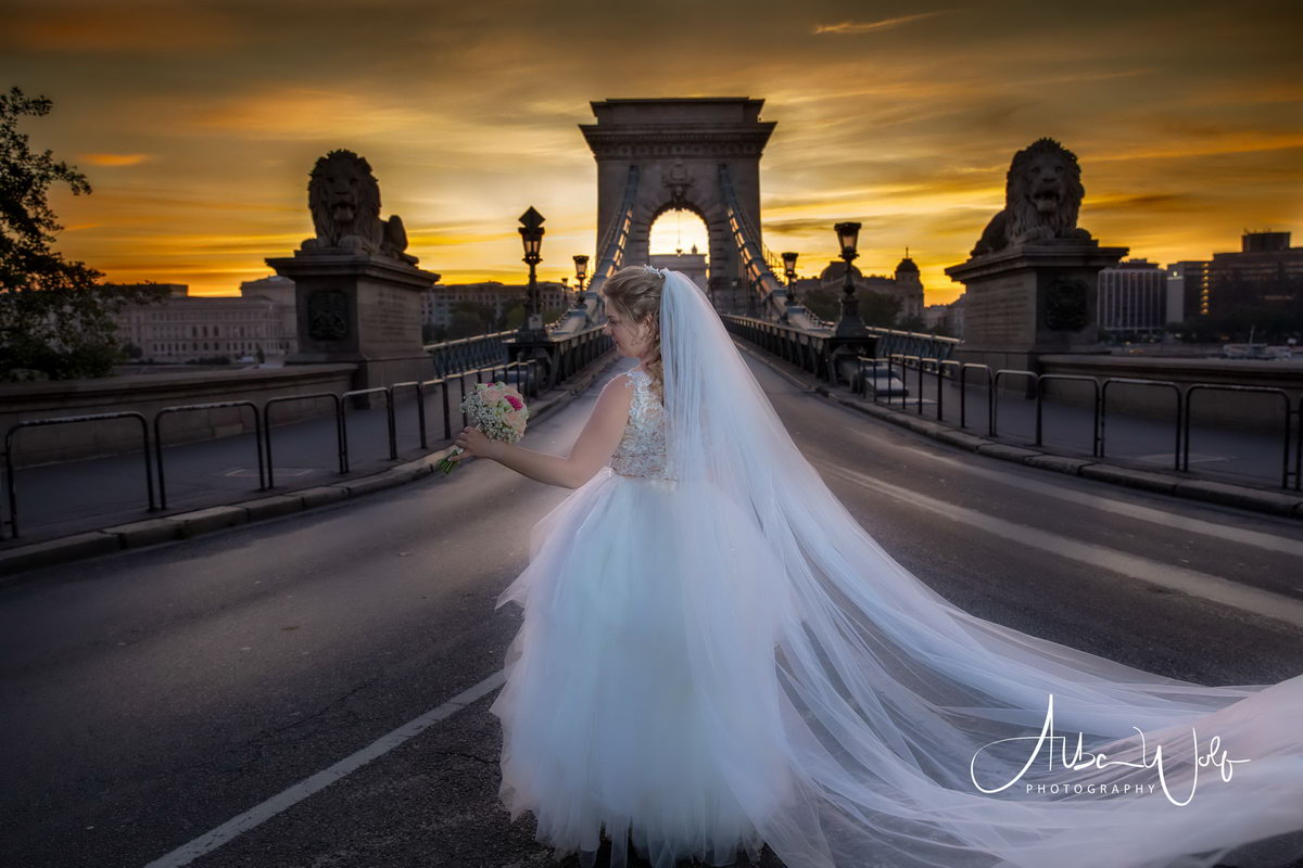 Alba Wolf Fotóstúdió Székesfehérvár galéria