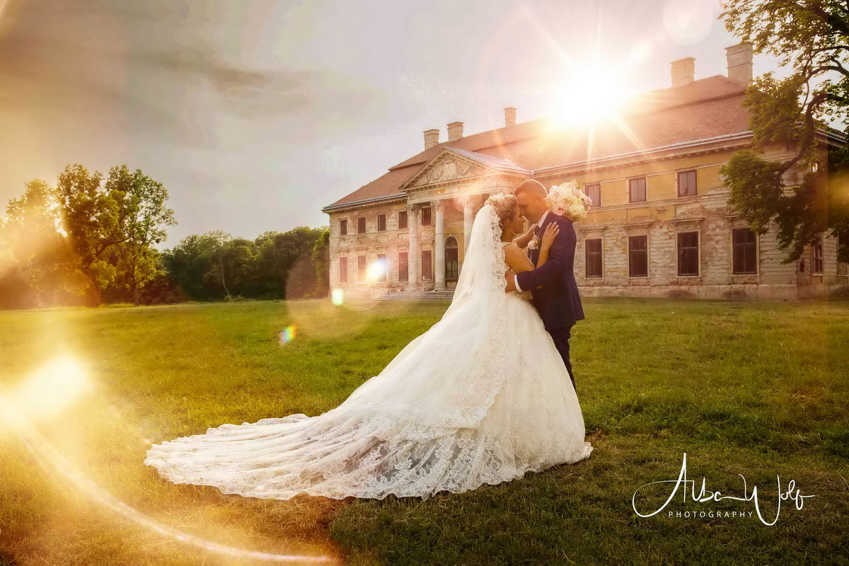 Alba Wolf Fotóstúdió Székesfehérvár galéria