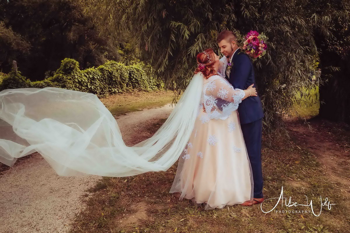 Alba Wolf Fotóstúdió Székesfehérvár galéria